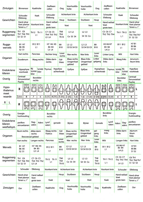 Meridianen schema